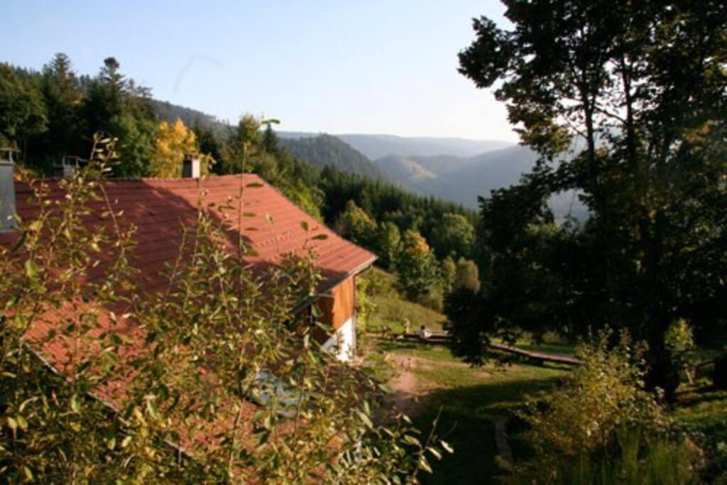 Appartement Dans Vielle Ferme Au Coeur Des Vosges Plainfaing Exterior photo