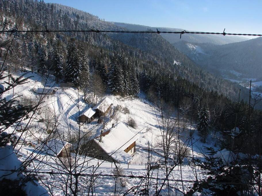 Appartement Dans Vielle Ferme Au Coeur Des Vosges Plainfaing Exterior photo