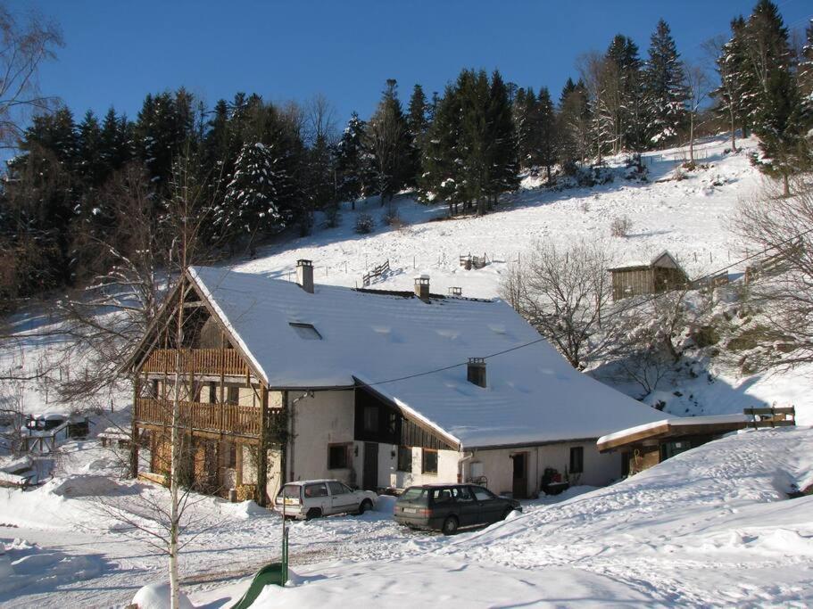 Appartement Dans Vielle Ferme Au Coeur Des Vosges Plainfaing Exterior photo